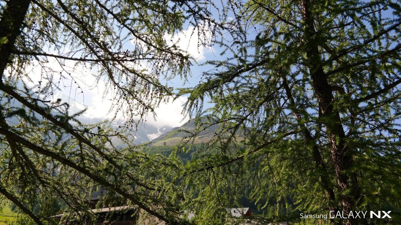 Amber Ski-In/Out Hotel & Spa Саас-Фее Екстериор снимка